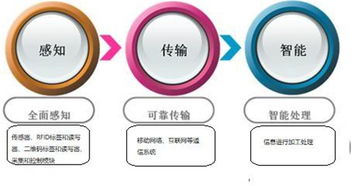 萬物智聯(lián)，未來已來 科技巨頭布局下的物聯(lián)網(wǎng)發(fā)展趨勢(shì)與通信系統(tǒng)集成挑戰(zhàn)